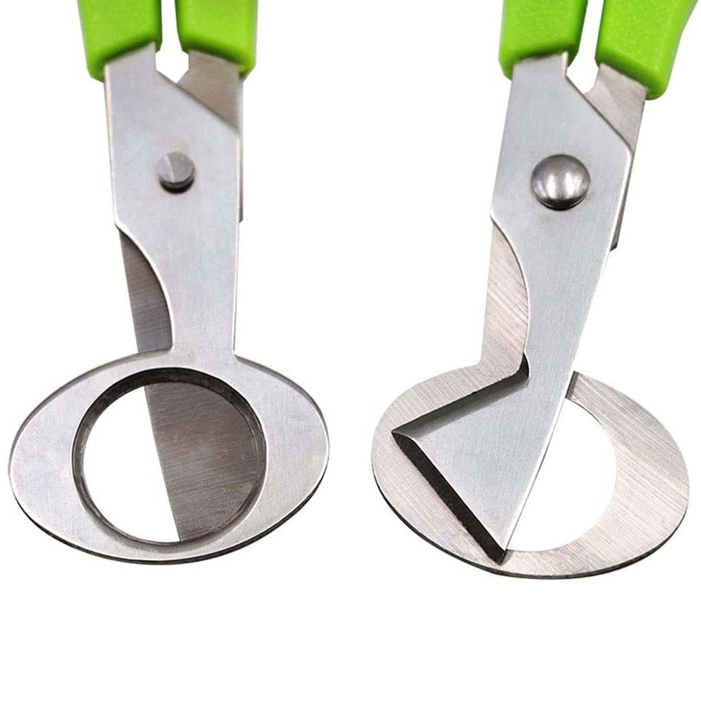 Ciseaux coupe-œufs de caille,  - Kitchen Shears In Baking avis et prix